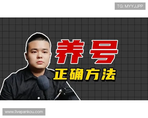 玩球买波胆技巧品牌入口下载评测防骗避坑指南